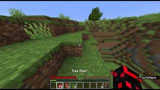 Minecraft I Retried And Died ON THE FIRST TRY [upl. by Arehs]