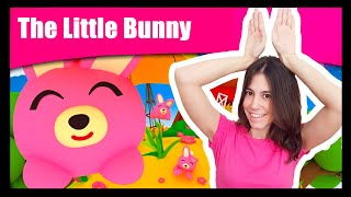 Neue Folge 🐰 Tanz mit Titounis 🐰 Das kleine Hasenlied [upl. by Arvad368]