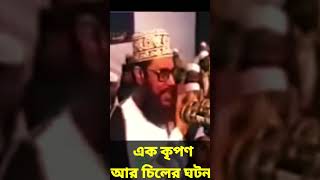 এক কৃপণ আর চিলের ঘটনা  allama delwar hussain saidi waz দেলোয়ারহোসাইনসাঈদীdelowarhossainsaidi [upl. by Deanna]