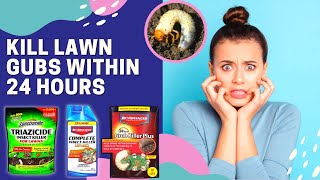 Best Grub Killers For Lawn  Kill Gubs Within 24 Hours [upl. by Maddy18]