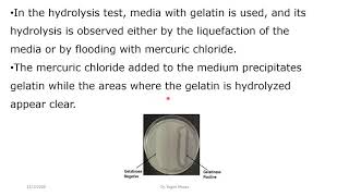 Gelatinase hydrolysis Test [upl. by Pierette]