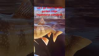 Sidewinder was my favorite one angler fishinggames fishing fyp fypシ゚viral [upl. by Arlan]