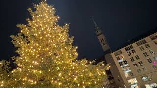 Eröffnung Münchner Christkindlmarkt auf dem Marienplatz am 27112023  mit Baum aus Königsdorf [upl. by Nalyk]