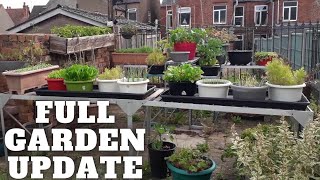 Full Gardening Allotment Update Gardening Allotment UK Grow Vegetables At Home [upl. by Norrahc]