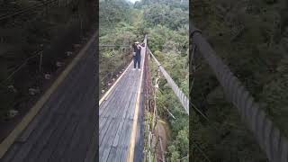 Longest hanging bridge in asia [upl. by Enirehtak]