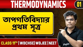 THERMODYNAMICS 01  তাপগতিবিদ্যার প্রথম সূত্র  Physics  Class 11NEETWBCHSEWBJEE [upl. by Hasin]