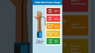 Whats a normal blood pressure range [upl. by Tasiana]