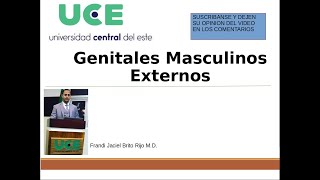 Genitales Externos Masculinos [upl. by Featherstone]