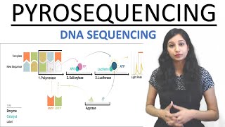 Pyrosequencing I DNA Sequencing I Tools amp Techniques  CSIRNET  GATE  IITJAM  DBT  GATB NEET [upl. by Joub670]