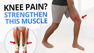 4 Quadriceps VMO Strengthening Exercises for Painful Knees [upl. by Asseneg209]