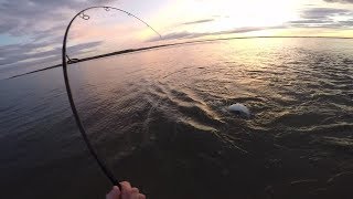 Striped Bass Bucktailing  Catching Fish on the Drop [upl. by Amein]