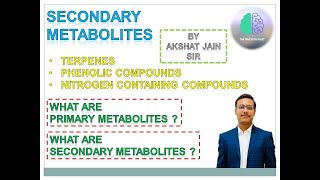 Plant Secondary Metabolites Phenolics [upl. by Werdnaed744]