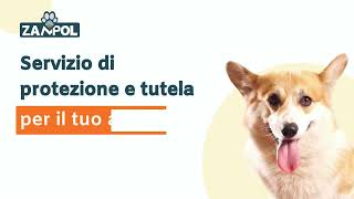 Assicurazione del cane Zampol cosa copre [upl. by Luedtke]