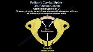 Pediatric Cervical Spine Ossification Centers  Everything You Need To Know  Dr Nabil Ebraheim [upl. by Andromeda]