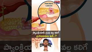 The Pancreas Your Silent Superhero of Digestion and Sugar Control Dr S Jagadeeswar MedPlusONETV [upl. by Stewart]