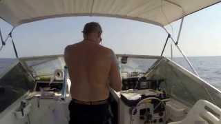 Spearfishing Carrabelle Aug 22 2014 [upl. by Enorahs]