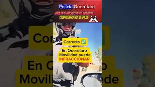 Multa x mascota al Volante policia noticias [upl. by Arabrab]