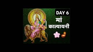 DAY 6 OF NAVRATRI 🌺🪔💝shorts navratri day6 katyayanima [upl. by Suidaht944]