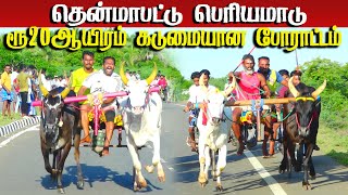 1தென்மாபட்டு பெரியமாடு பந்தயம் 01092024 [upl. by Adnihc]