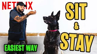 How to Teach your Dog to Sit and Stay with Cali K9  EASIEST WAY [upl. by Hogarth778]