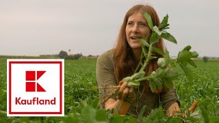 So geht biologischer Gemüseanbau in DemeterQualität  Kaufland [upl. by Anirbed]