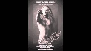 Zinny Power Vox  Rising Force Yngwie Malmsteen cover [upl. by Emilia]