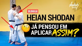 COMO APLICAR OS GOLPES DO HEIAN SHODAN  BUNKAI OCULTO  KARATE RAIZ  Helio Arakaki Sensei [upl. by Marva]