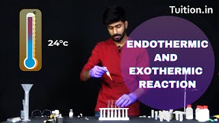 Endothermic Reaction and Exothermic Reaction [upl. by Baumann]