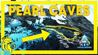 TOP 10 Pearl CAVES on The Island  ARK Survival Ascended [upl. by Normand]