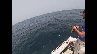 Shellharbour NSW Australia Fishing great day on the water nannygai Blue Morwong Flathead [upl. by Konyn]