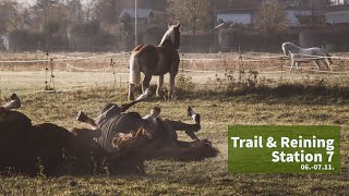 KURS KARLSRUHE  Malsch  Trail amp Reining Station 7 [upl. by Gayel136]