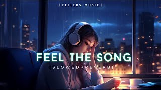 Mind Fresh Mashup  Slowed Reverb  Lofi Songs  30 Minutes Lofi Songs  Feelers Music [upl. by Notxap966]