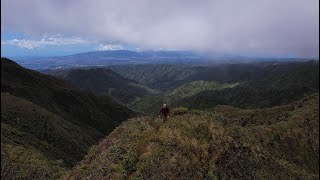 Walking and Climbing up a long ridge to the Koolau Summit in Central Oahu [upl. by Airehc]