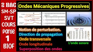 P1  Ondes Mécaniques Progressives  Cours détaillé  2 BAC [upl. by Sidwell740]