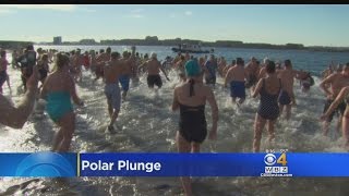 L Street Brownies Polar Bear Plunge [upl. by Ilojna]