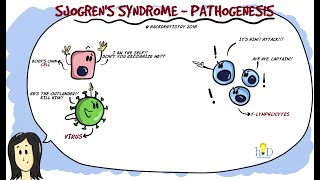 Sjogrens syndrome Part 1  Etiology and Pathogenesis [upl. by Tenay]