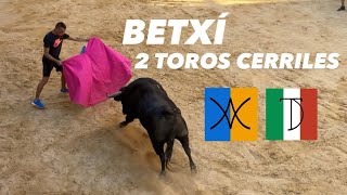 BETXÍ 2 TOROS DE NUÑEZ DE TARIFA Y LUIS TERRÓN DÍAZ [upl. by Halihs]