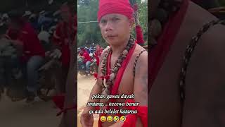 acara gawai Dayak Sintang lucu beranda dayak [upl. by Ayalat]