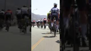 Bad crash for Mark Cavendish in Oman shorts [upl. by Edniya]