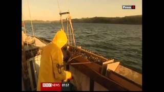 Oyster Fishing at risk from dredging in Falmouth [upl. by Schlessel]