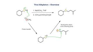 Thiol Alkylation [upl. by Ayocal]