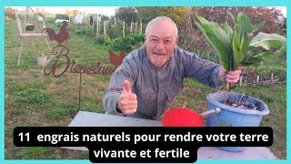 11 engrais naturels pour rendre votre terre vivante et fertile [upl. by Nawud]