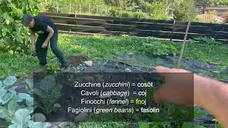 Learn Piedmontese Vocabulary Local Mountain Vegetables and Canals in Meana di Susa [upl. by Demp371]