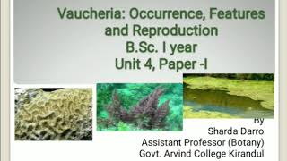 Vaucheria  Occurrence Features amp Reproduction BSc part 1  Shaarda Lectures [upl. by Uamak]