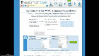 WSO Company Database [upl. by Norrek]