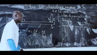 Cours  Terminale  SVT  La Physiologie nerveuse suite 6 [upl. by Hedges]