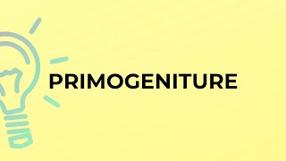 What is the meaning of the word PRIMOGENITURE [upl. by Miof Mela]