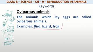 Definition of Oviparous animals for class 8 science [upl. by Alyar]