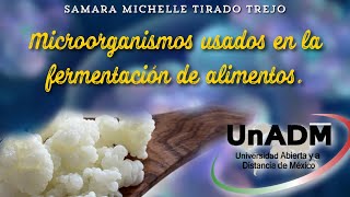 Actividad 2 Microorganismo s usados en la fermentación de alimentos [upl. by Yremrej295]