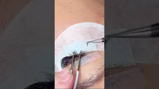 Lashing in layers oddly satisfying lashaddict lash lashextensions [upl. by Zehcnas]